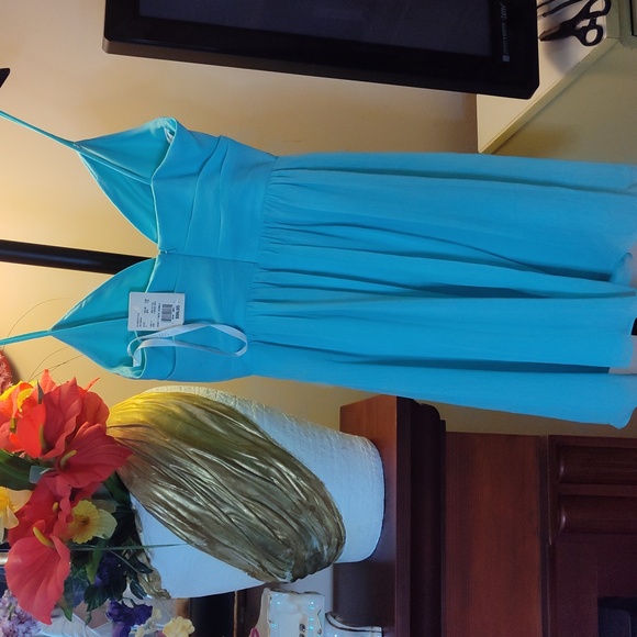 David's Bridal Short V Neck Crinkle Dress Size 4, Color Spa - Picture 2 of 5